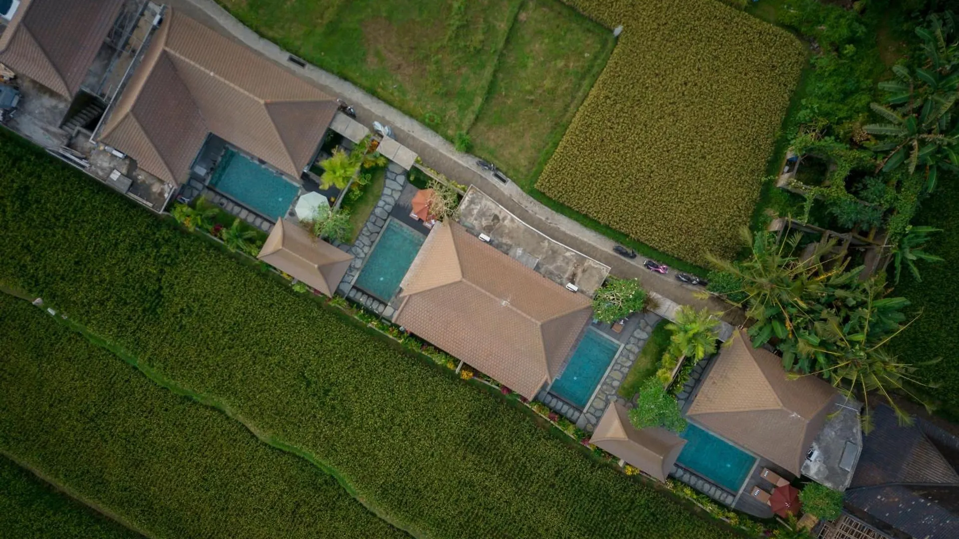 Happy Honeymoon Private Villa Ubud  Indonesia